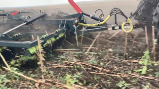 БДП с диском 430мм рубит стерню подсолнечника