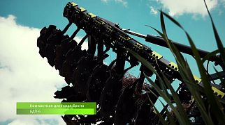 БДП-6-620 работает по стерне зерновых