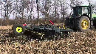 БДП-7-430 измельчает стерню кукурузы