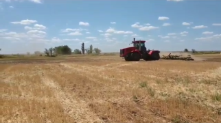 БДП-430 обработка стерни после зерновых