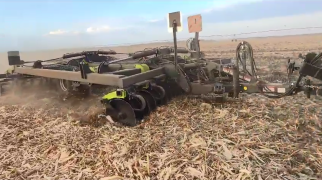 ПЧП по стерне кукурузы