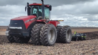 ЧДТ по стерне подсолнечника