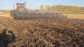 Отзыв о ЧДА по стерне зеронвых