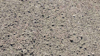 Результат обработки ПАВ-6