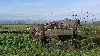 МК-12 по сидеральным полям