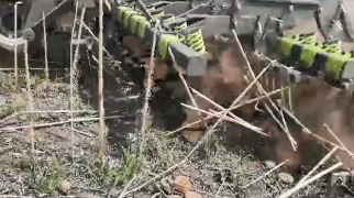 АН-8-БД работает по стерне подсолнечника